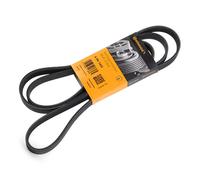 CONTITECH 6PK1980 Serpentine belt