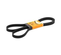 Multi-ribbed V-belt 6PK1990 CONTINENTAL CTAM for BMW ALFA ROMEO OPEL JAGUAR JEEP