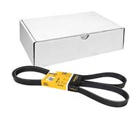 Multi-ribbed V-belt 6PK1990 CONTINENTAL CTAM for BMW ALFA ROMEO OPEL JAGUAR JEEP