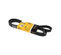 Contitech 6PK2020 V-ribbed belt