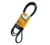 Contitech 6PK2100 V-Ribbed Belts