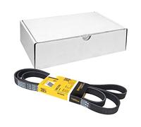 CONTITECH 6PK2205 V-ribbed belt