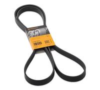 Multi-ribbed V-belt 6PK2215 CONTINENTAL CTAM for FORD USA MERCEDES-BENZ VW MAZDA