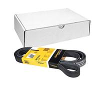 CONTITECH 6PK2241 Serpentine belt