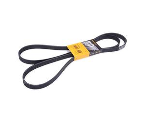 CONTITECH 6PK2241 Serpentine belt