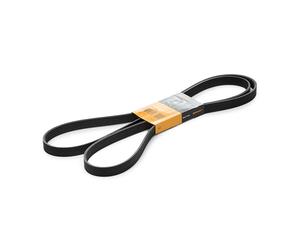 CONTITECH 6PK2260 Serpentine belt