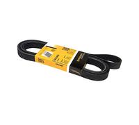 Continental V-ribbed Belt 6PK2460 CTAM - Multi-ribbed, fits Mercedes-Benz Jaguar Audi Jeep