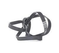 Contitech 6PK2490 V-Ribbed Belts