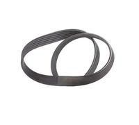 Contitech Drive Belt 202545065