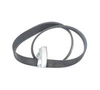 CONTITECH 6PK842 ELAST T1 Serpentine belt