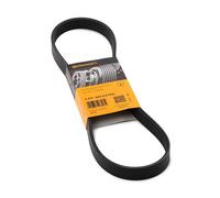 CONTITECH 6PK905 EXTRA Serpentine belt