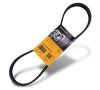 CONTITECH 6PK905 EXTRA Serpentine belt