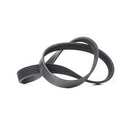 Contitech 6PK923 V-Ribbed Belt