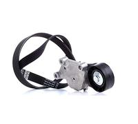 Multi-ribbed V-belt kit incl. tensioner pulley 6PK962K1 CONTINENTAL CTAM