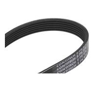 CONTITECH 6PK976 Serpentine belt