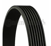 CONTITECH 7 PK 1165 V-Ribbed Belt OE REPLACEMENT