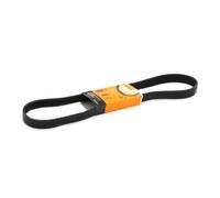 CONTITECH 7PK1125 Serpentine belt