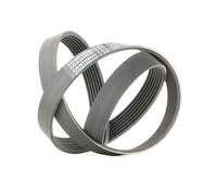 ContiTech V-Ribbed Belt 7PK1290 – Multi-ribbed fits VW Ford Mercedes-Benz