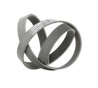Contitech 7PK1290 V-Ribbed Belt