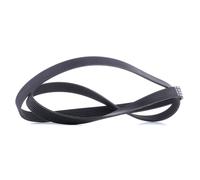 CONTITECH 7PK1749 Serpentine belt