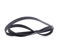 Multi-ribbed V-belt 7PK1749 CONTINENTAL CTAM for NISSAN HONDA RENAULT DAF