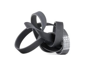 CONTITECH 7PK1785 Serpentine belt