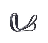 CONTITECH 7PK2035 Serpentine belt