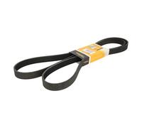 Contitech 7PK2120 V-Ribbed Belt