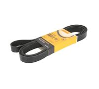 BGA Multi V-Ribbed Drive Belt fits Ford