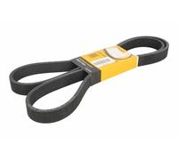 CONTITECH 8 DPK 1833 V-Ribbed Belt OE REPLACEMENT
