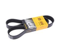 Multi-ribbed V-belt 8PK1226 CONTINENTAL CTAM for MAZDA 6 Hatchback 6 Saloon 5 3