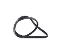 CONTITECH AVX13X1175 V-Belt