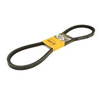 CONTITECH AVX17 x 1195 V-Ribbed Belt