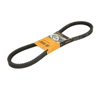 Contitech AVX17x1025 V-Ribbed Belt