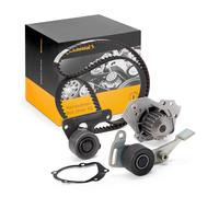 CONTITECH CT1061WP2 Water pump and timing belt kit