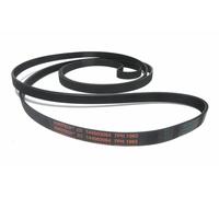 CONTITECH Standard Accessory Belt 4 Ribs 592mm BMW