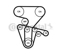 ContiTech Timing Belt Kit Set - Part No: CT877K4PRO - 168 Teeth - OE Quality