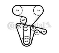 ContiTech Timing Belt Kit Set - Part No: CT877K5PRO - 168 Teeth - OE Quality