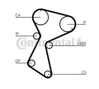 ContiTech Timing Belt Kit Set - Part No: CT935K2 - 153 Teeth - OE Quality