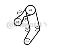 ContiTech Timing Belt Kit Set - Part No: CT939K8PRO - 122 Teeth - OE Quality
