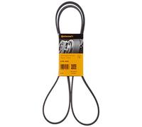 Contitech V-Ribbed Belt 5PK1815
