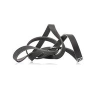 CONTITECH 6PK1830 Serpentine belt