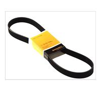Contitech V-Ribbed Belt 7PK1093