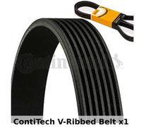 ContiTech V-Ribbed Belt - 7PK1666 , 7 Ribs - Fan Belt Alternator, Drive Belt