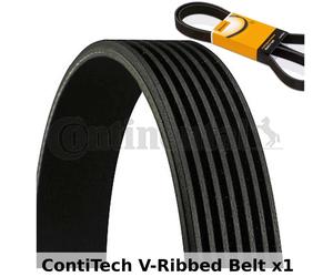 ContiTech V-Ribbed Belt - 7PK1666 , 7 Ribs - Fan Belt Alternator, Drive Belt