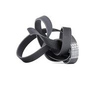 Contitech V-Ribbed Belt 7PK1785