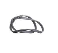 ContiTech V-ribbed belt, item number: 3PK750