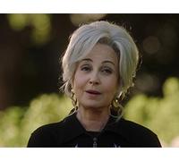 Contracts, Rules and a Little Bit of Pig Brain