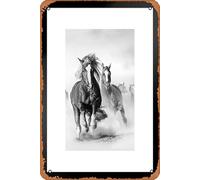 Contrence Metal Poster Retro Tin Sign Wild Mustang Horses Running Galloping Free Horse Herd On Dusty Plains Black and White Animal Photo Photograph Art Wall Decor 8x12 INCH