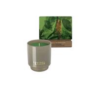 Control and Chaos Women's Paranoia + Peppercorn Candle 200g Control and Chaos Multicolor 200g